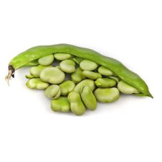 Broad bean  